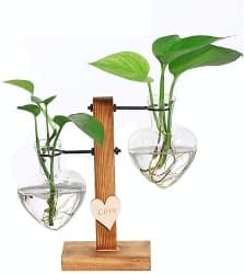 Creative Heart Glass Hydroponic Vases (1)