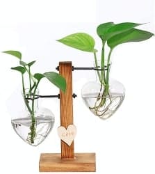 Creative Heart Glass Hydroponic Vases (1)