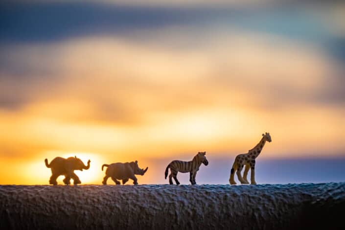 Miniature toy animals in line