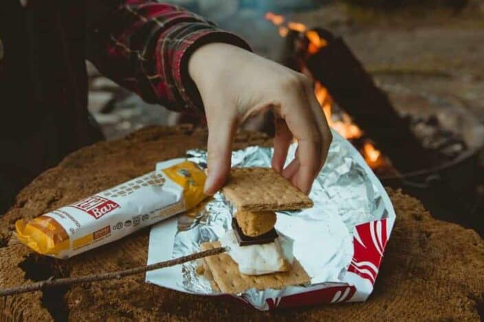 making smores on top of a log with a small fire burning near