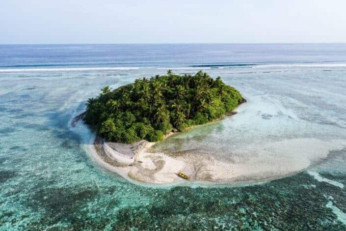 An island with a forest in the middle of a sea