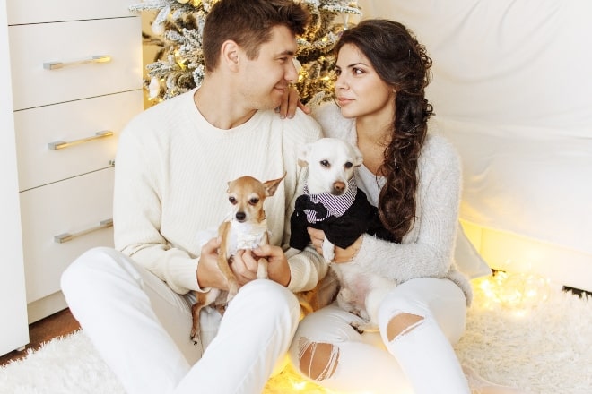 couple looking at each other while holding puppies - christmas pick up lines