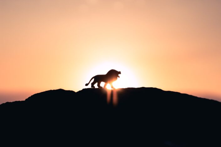 Lion's silhouette on top of a mountain.