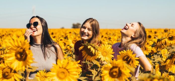Three women laughing in the middle of sunflower field