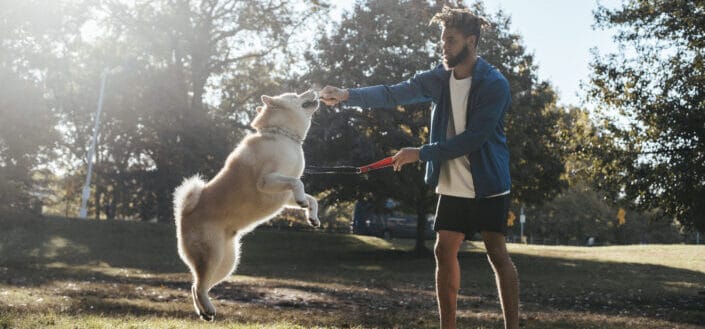 young man playing with his dog 