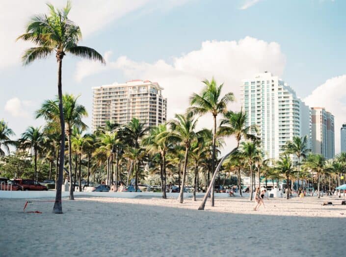 palm trees near buildings 