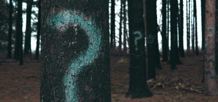 Question marks painted on trees.