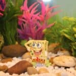 spongebob trivia - featured