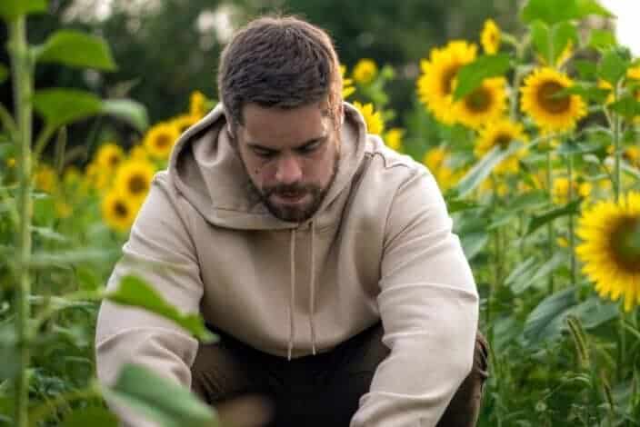 Man in sunflower field