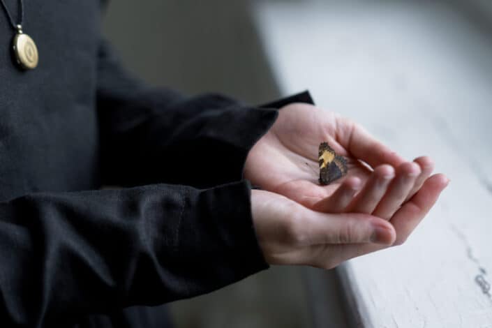 Person with a moth on hands