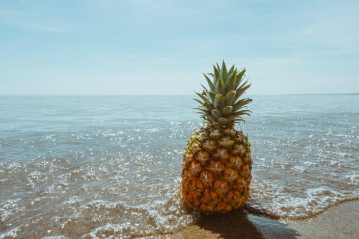 Large pineapple standing on the seashore