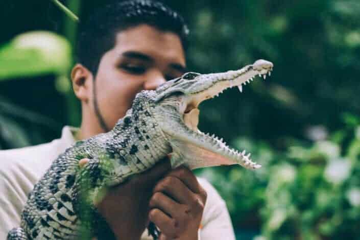 Guy holding a mouth wide opened reptile