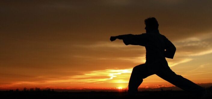 A silhouette of a man doing a kung fu pose.
