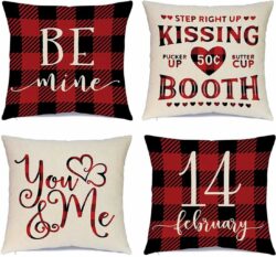 Valentines Day Pillow Covers