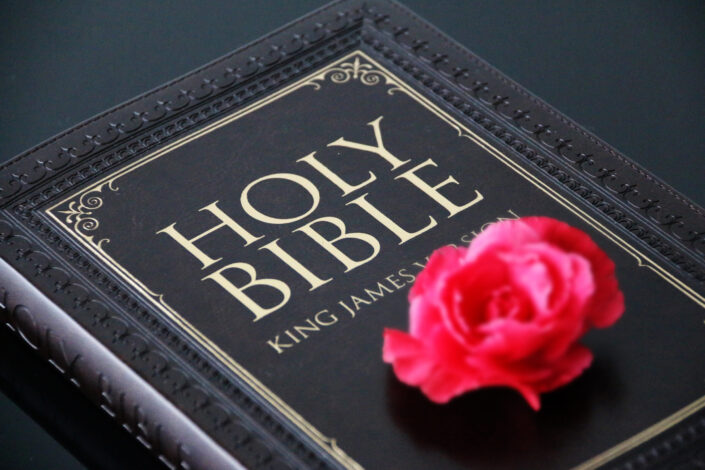 Close up shot of a pink rose on a bible