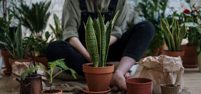 Person Sitting Near Potted Plants