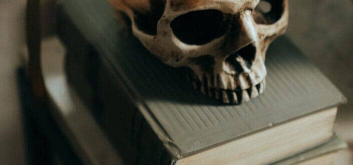 White skull on white wooden table