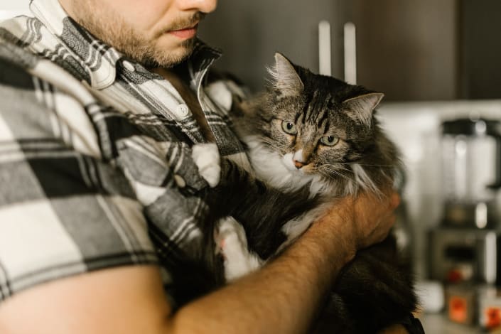 A man with beard holding a black cat