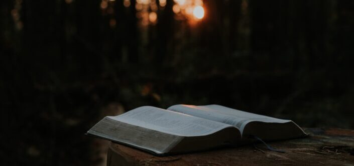 An open book resting on a log