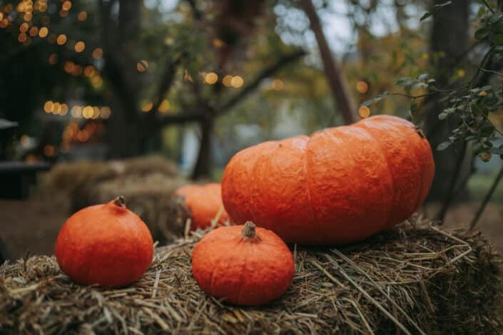 Halloween pumpkins on haystack