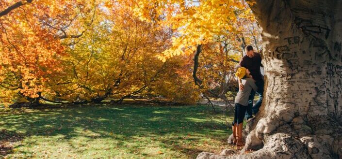 man and woman near flower tree