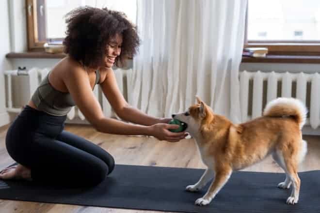 woman laughing while playing with her dog - animal puns