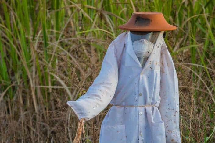 A Scarecrow on a Cropland