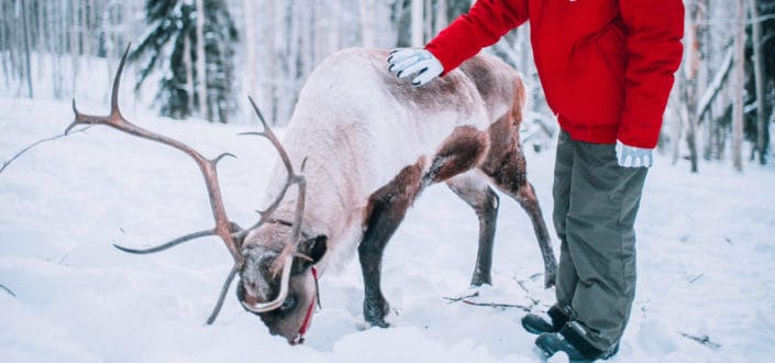 A man petting a reindeer