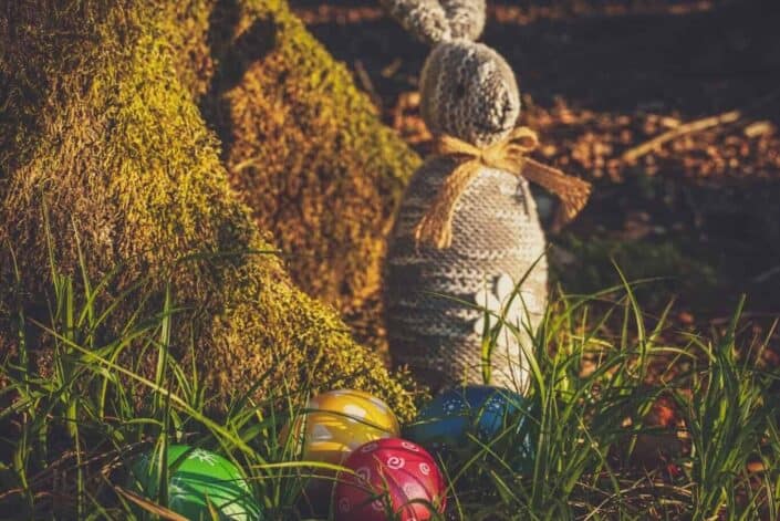Easter bunny and eggs on grass field