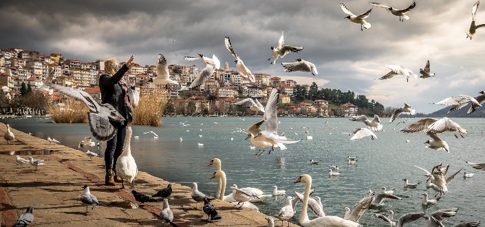 Woman standing near an ocean with swans