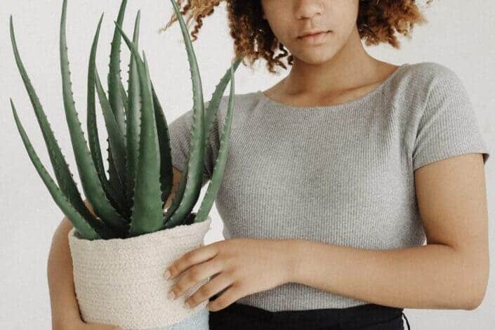 woman holding an Aloe Vera plant