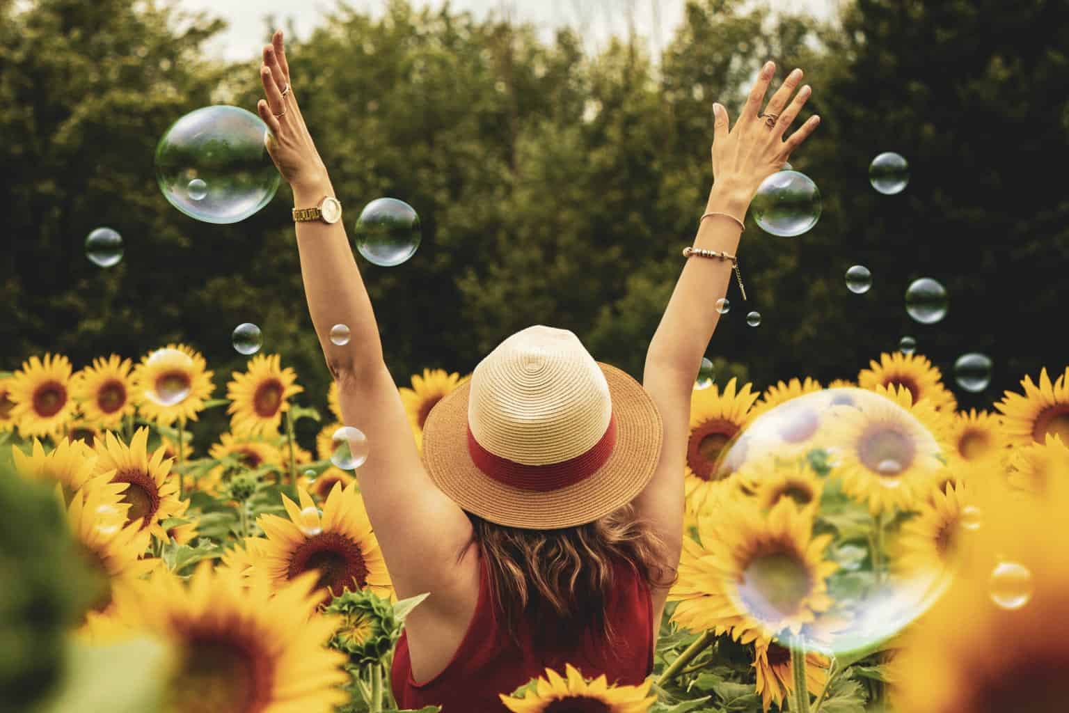 Woman surrounded by sunflowers