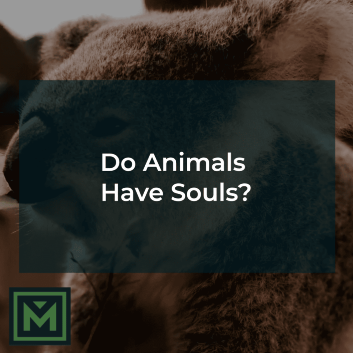 Do animals have souls?