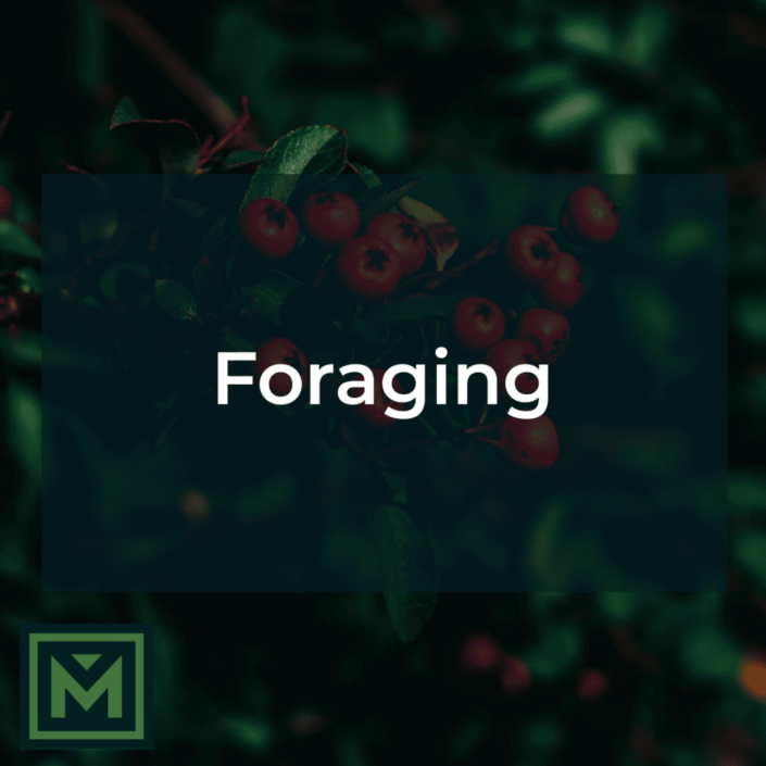 Foraging