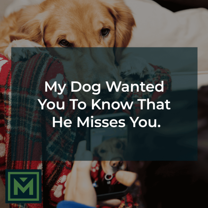 My dog wanted you to know that he misses you.