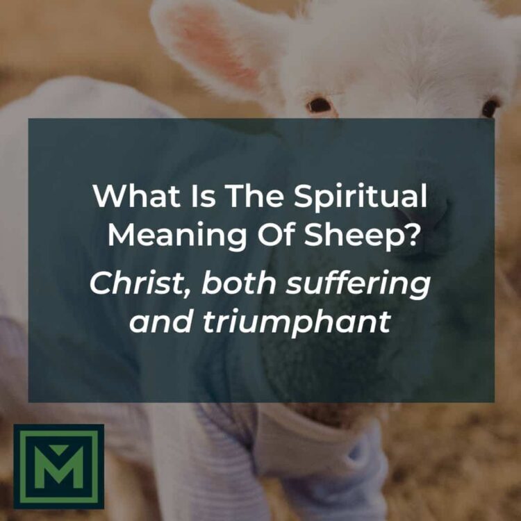 What is the spiritual meaning